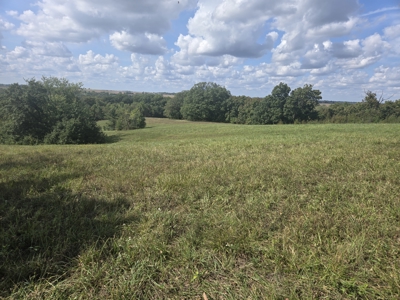 Monroe County, Iowa Hunting & Investment Farm - image 35