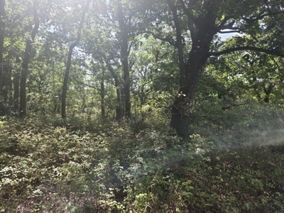 Monroe County, Iowa Hunting & Investment Farm - image 44