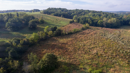 Monroe County, Iowa Hunting & Investment Farm - image 26