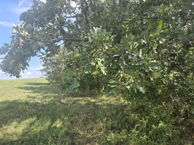 Monroe County, Iowa Hunting & Investment Farm - image 38