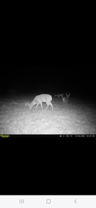 Monroe County, Iowa Hunting & Investment Farm - image 18