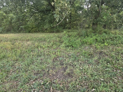 Monroe County, Iowa Hunting & Investment Farm - image 46