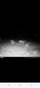 Monroe County, Iowa Hunting & Investment Farm - image 24