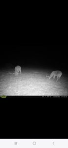 Monroe County, Iowa Hunting & Investment Farm - image 19