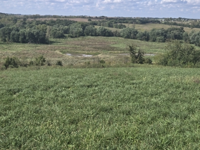 Monroe County, Iowa Hunting & Investment Farm - image 47