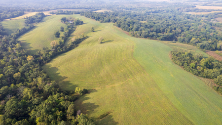 Monroe County, Iowa Hunting & Investment Farm - image 5