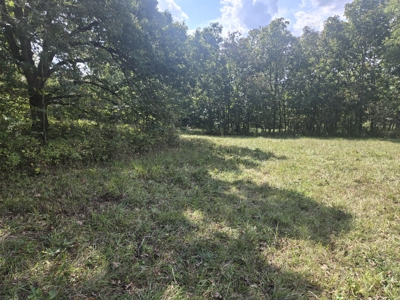 Monroe County, Iowa Hunting & Investment Farm - image 45