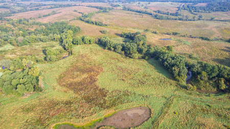 Monroe County, Iowa Hunting & Investment Farm - image 25