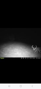 Monroe County, Iowa Hunting & Investment Farm - image 12