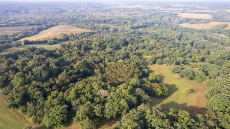 Monroe County, Iowa Hunting & Investment Farm - image 32