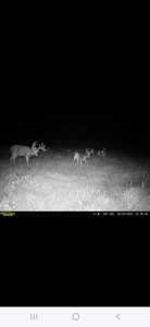 Monroe County, Iowa Hunting & Investment Farm - image 22