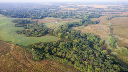Monroe County, Iowa Hunting & Investment Farm - image 3