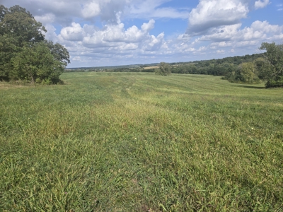 Monroe County, Iowa Hunting & Investment Farm - image 40