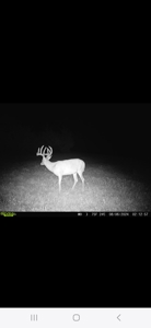 Monroe County, Iowa Hunting & Investment Farm - image 15