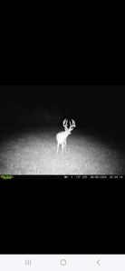 Monroe County, Iowa Hunting & Investment Farm - image 16