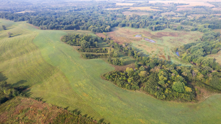 Monroe County, Iowa Hunting & Investment Farm - image 4