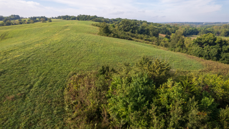 Monroe County, Iowa Hunting & Investment Farm - image 30