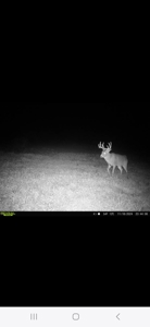 Monroe County, Iowa Hunting & Investment Farm - image 20