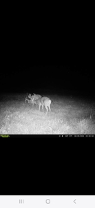 Monroe County, Iowa Hunting & Investment Farm - image 23