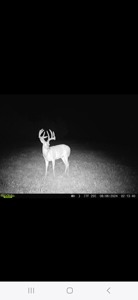 Monroe County, Iowa Hunting & Investment Farm - image 14