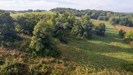 Monroe County, Iowa Hunting & Investment Farm - image 27