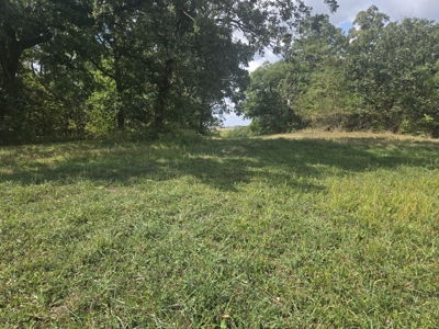 Monroe County, Iowa Hunting & Investment Farm - image 41