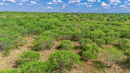 11 Acres Near Lake Corpus Christi – Build, Farm, or Ranch  200-Ch - image 10