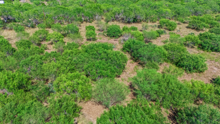 11 Acres Near Lake Corpus Christi – Build, Farm, or Ranch  200-Ch - image 8