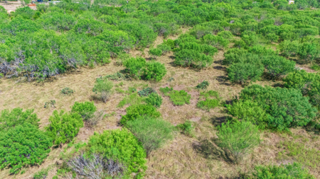 11 Acres Near Lake Corpus Christi – Build, Farm, or Ranch  200-Ch - image 9