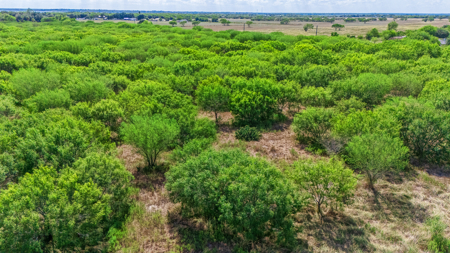 11 Acres Near Lake Corpus Christi – Build, Farm, or Ranch  200-Ch - image 11