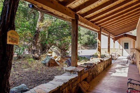 3 Bedroom Mountain Home for Sale in Ridgway, Colorado - image 34