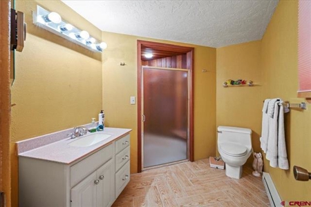 3 Bedroom Mountain Home for Sale in Ridgway, Colorado - image 10