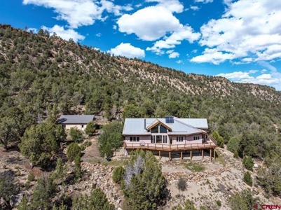 3 Bedroom Mountain Home for Sale in Ridgway, Colorado - image 1