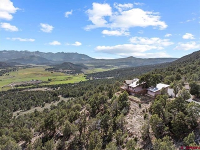 3 Bedroom Mountain Home for Sale in Ridgway, Colorado - image 4