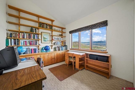 3 Bedroom Mountain Home for Sale in Ridgway, Colorado - image 11