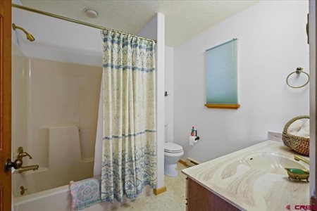3 Bedroom Mountain Home for Sale in Ridgway, Colorado - image 15