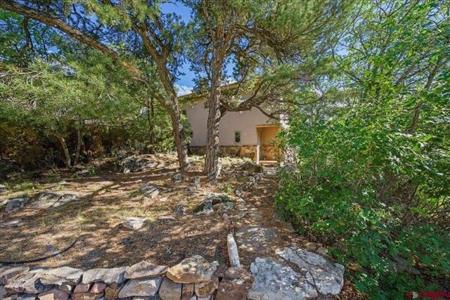 3 Bedroom Mountain Home for Sale in Ridgway, Colorado - image 3