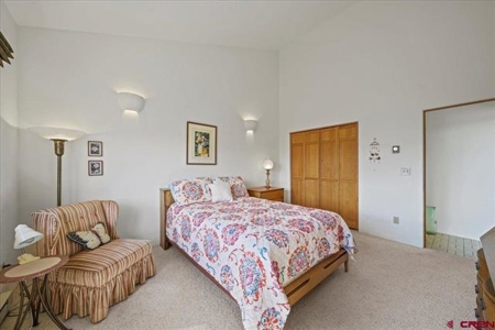 3 Bedroom Mountain Home for Sale in Ridgway, Colorado - image 12