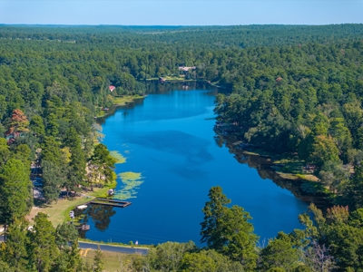 3BD-2.5BA Golf Course Home in Holly Lake Ranch in NE Texas - image 45