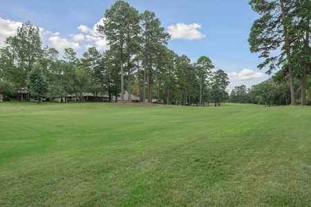 3BD-2.5BA Golf Course Home in Holly Lake Ranch in NE Texas - image 40