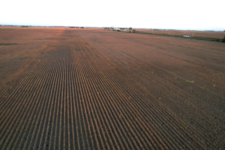 Greene County Iowa Farmland Auction - image 31