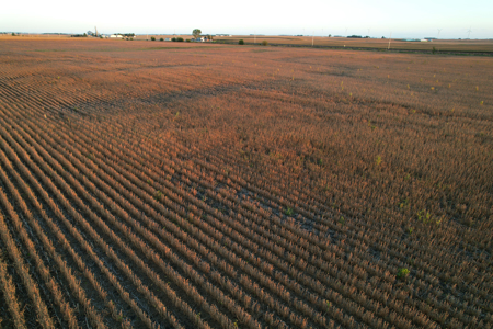 Greene County Iowa Farmland Auction - image 14