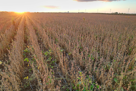 Greene County Iowa Farmland Auction - image 27