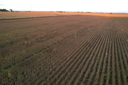 Greene County Iowa Farmland Auction - image 26