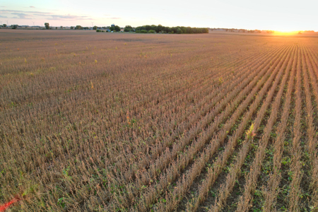 Greene County Iowa Farmland Auction - image 25