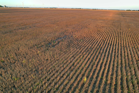 Greene County Iowa Farmland Auction - image 13