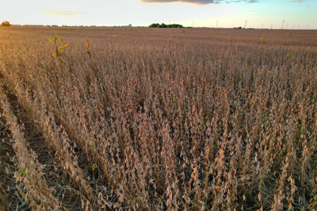 Greene County Iowa Farmland Auction - image 17