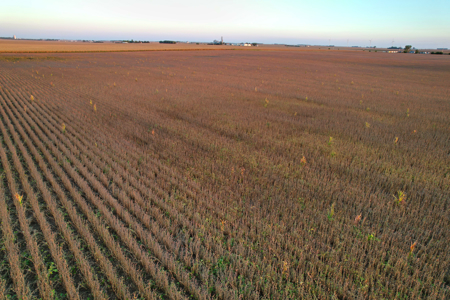 Greene County Iowa Farmland Auction - image 29