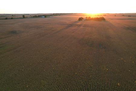 Greene County Iowa Farmland Auction - image 20