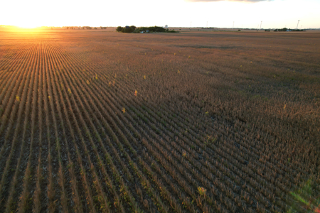 Greene County Iowa Farmland Auction - image 18